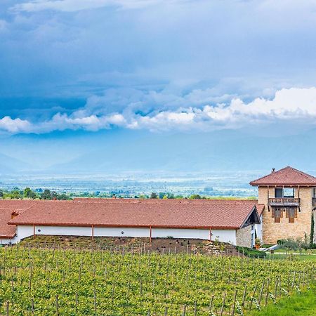 Chateau Mosmieri Hotel & Winery 텔라비 외부 사진