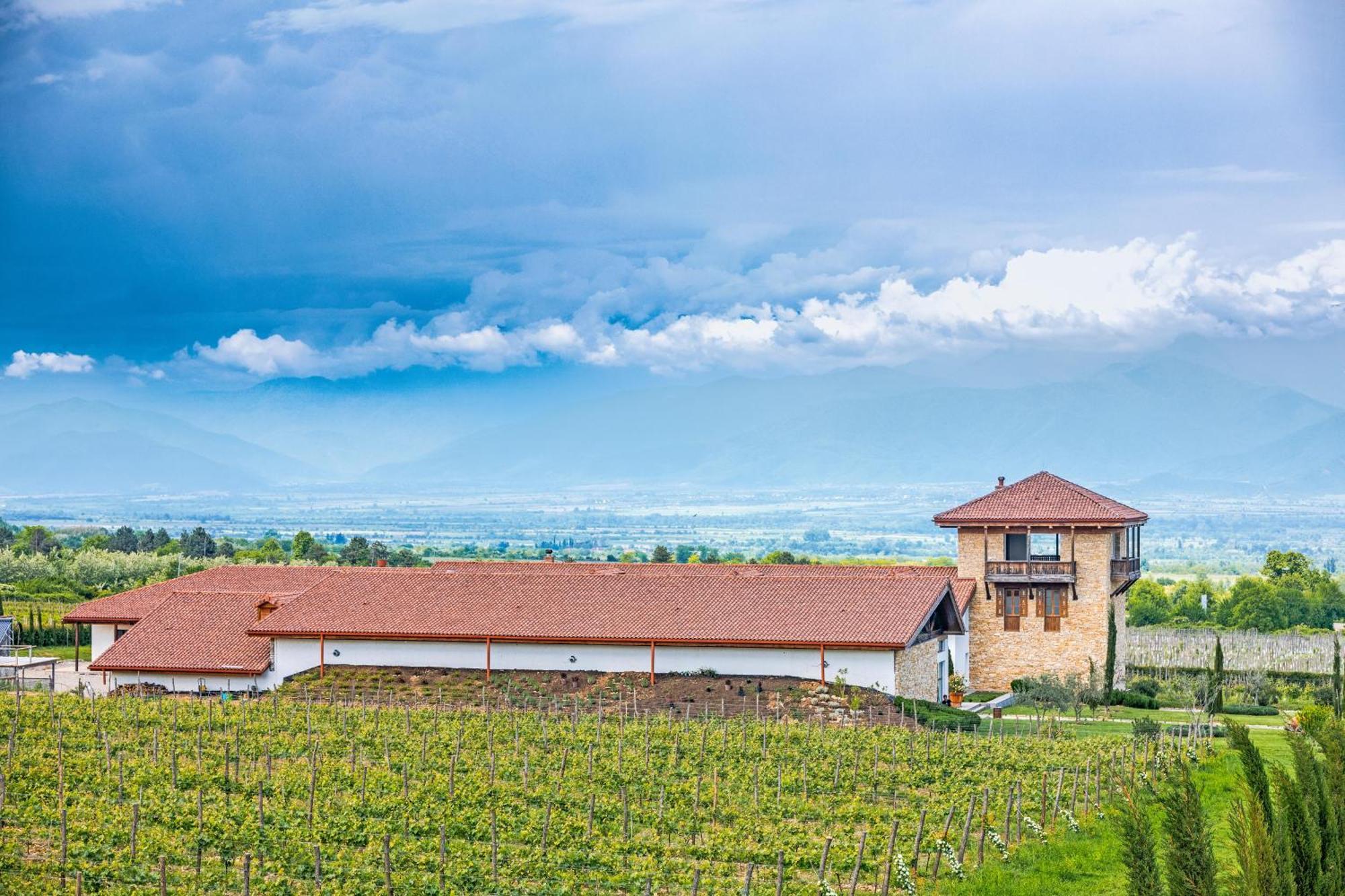 Chateau Mosmieri Hotel & Winery 텔라비 외부 사진