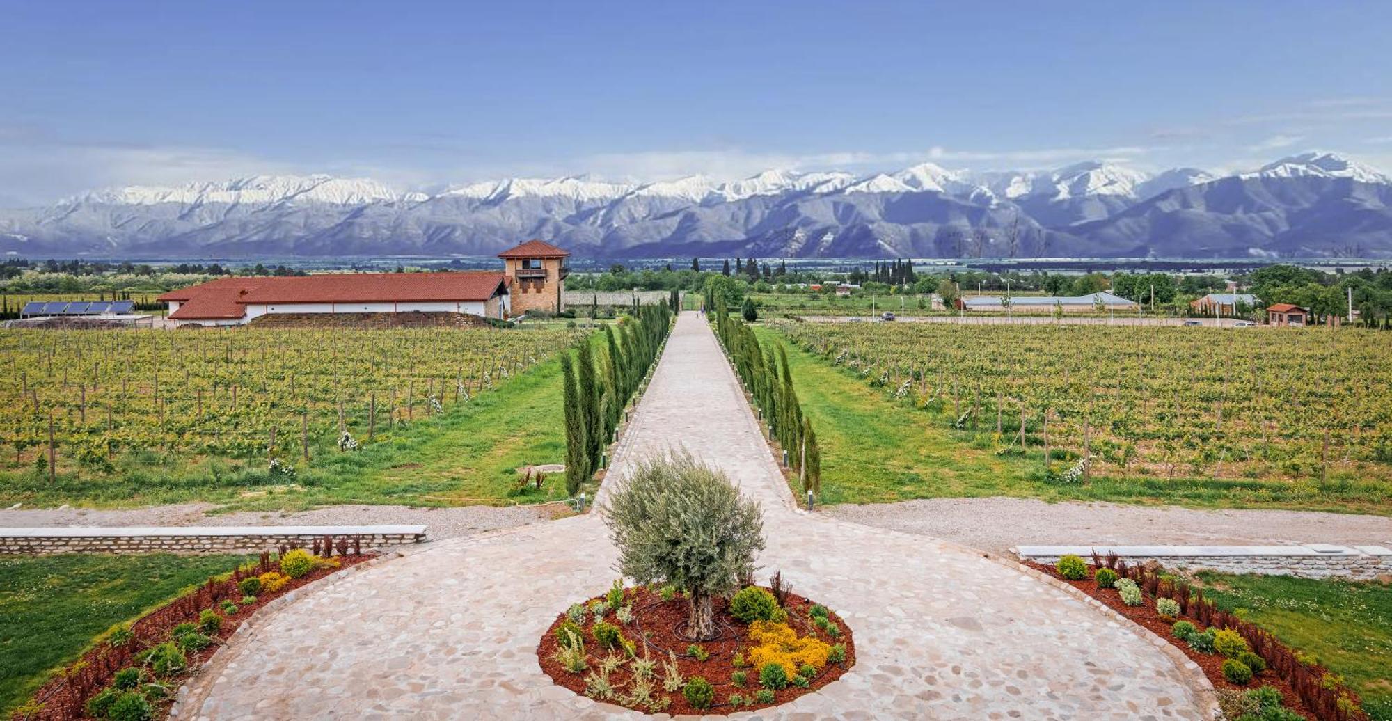 Chateau Mosmieri Hotel & Winery 텔라비 외부 사진