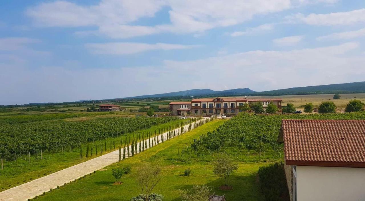 Chateau Mosmieri Hotel & Winery 텔라비 외부 사진