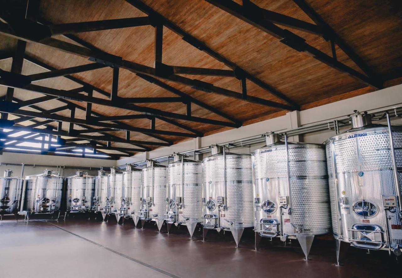 Chateau Mosmieri Hotel & Winery 텔라비 외부 사진